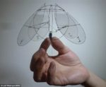 Tiny Jellyfish-Like Robot Can Float In The Air