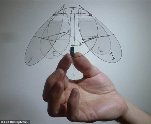 Read more about the article Tiny Jellyfish-Like Robot Can Float In The Air