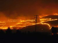 Earthquakes And Their Aftershocks Imitate Forest Wildfires, Says Physicist