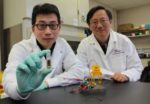 Researchers Developing Sugar-Powered Battery