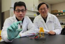 Researchers Developing Sugar-Powered Battery