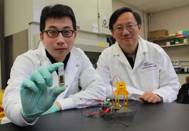 Read more about the article Researchers Developing Sugar-Powered Battery