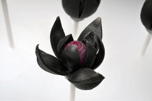 Read more about the article [Video] A Student Created An Artificial 3D-Printed Flower That Blooms