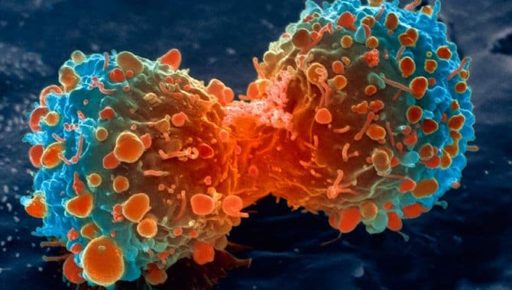 Read more about the article Human Body Just Needs Better Instructions To Kill Cancer