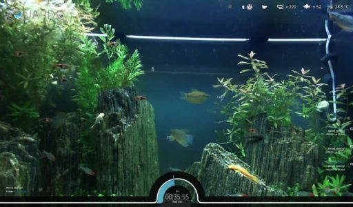 Read more about the article Use This Cool Web App To Feed Real Fish For Fun