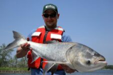 Asian Carp Devouring Other Fishes, America Plans To Kill It