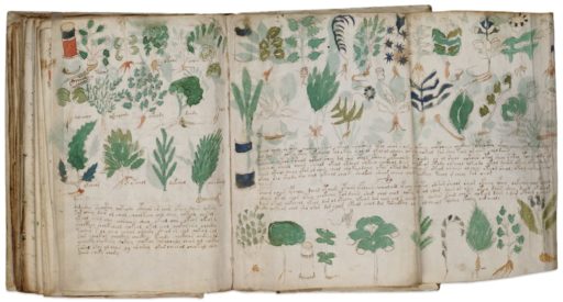 Read more about the article Professor Claims Decrypting Voynich Manuscript