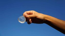 Biodegradable Water Balloon-like Blob: An Alternate Of Plastic Bottle