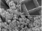 GE, Ford, And The University Of Michigan Team Up To Extend EV Battery ...
