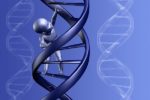 New Study Suggests Only 8.2% Of Our DNA Is “Functional”! Rest Are “Lazy”
