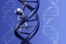 New Study Suggests Only 8.2% Of Our DNA Is “Functional”! Rest Are “Lazy”
