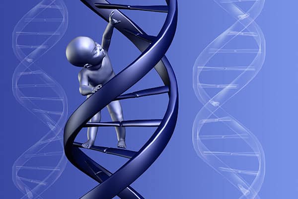 You are currently viewing New Study Suggests Only 8.2% Of Our DNA Is “Functional”! Rest Are “Lazy”