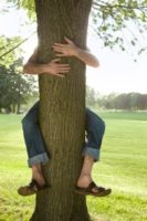 Science Proved Hugging Trees Is Good For Health