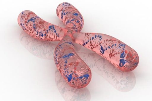 Read more about the article Scientists Discover Monster Chromosomes Play A Role For Cancer Growth