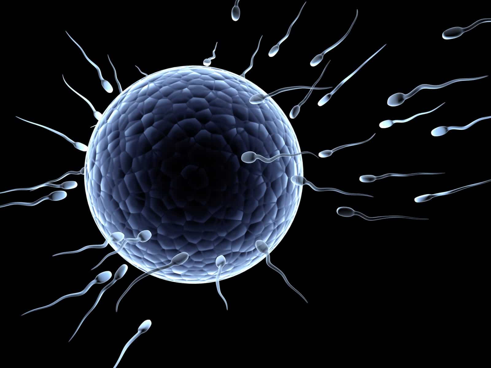 Read more about the article WHO Says Sperm Can Carry Ebola For Up To 82 Days