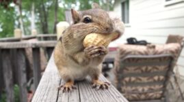 Apple Posts Two Cute New ‘Shot on iPhone’ Ads [Video]