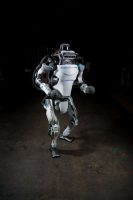 How Much Human are Humanoid Robots?