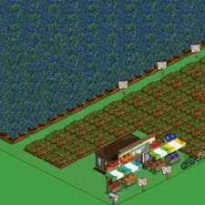 Read more about the article FarmVille Users make 310 Million Blueberries