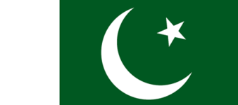 Pakistanis launch “Millatfacebook” Instead of Facebook