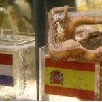 “Paul” the Octopus is going to the HERO of FIFA World Cup 2010