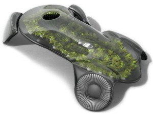 Read more about the article A True Green Car