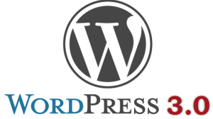Read more about the article WordPress 3.0 Released